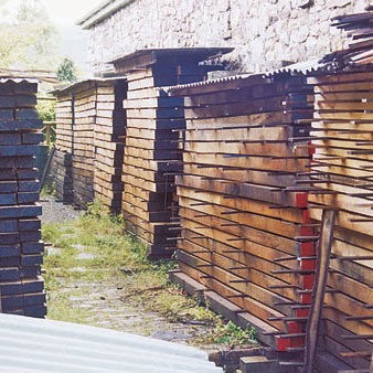 European Oak in timber yard